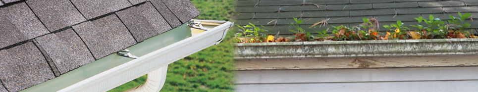 Gutter gardens cause serious damage to your home.